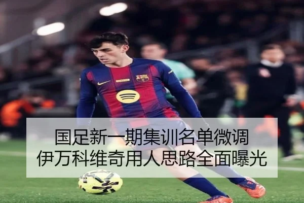 国足新一期集训名单微调 伊万科维奇用人思路全面曝光
